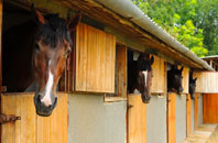free Llanfair stable construction quotes